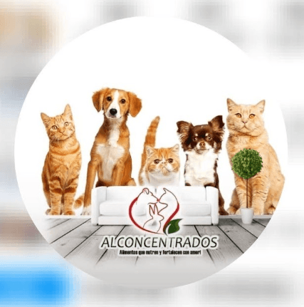 Portada de Alconcentrados