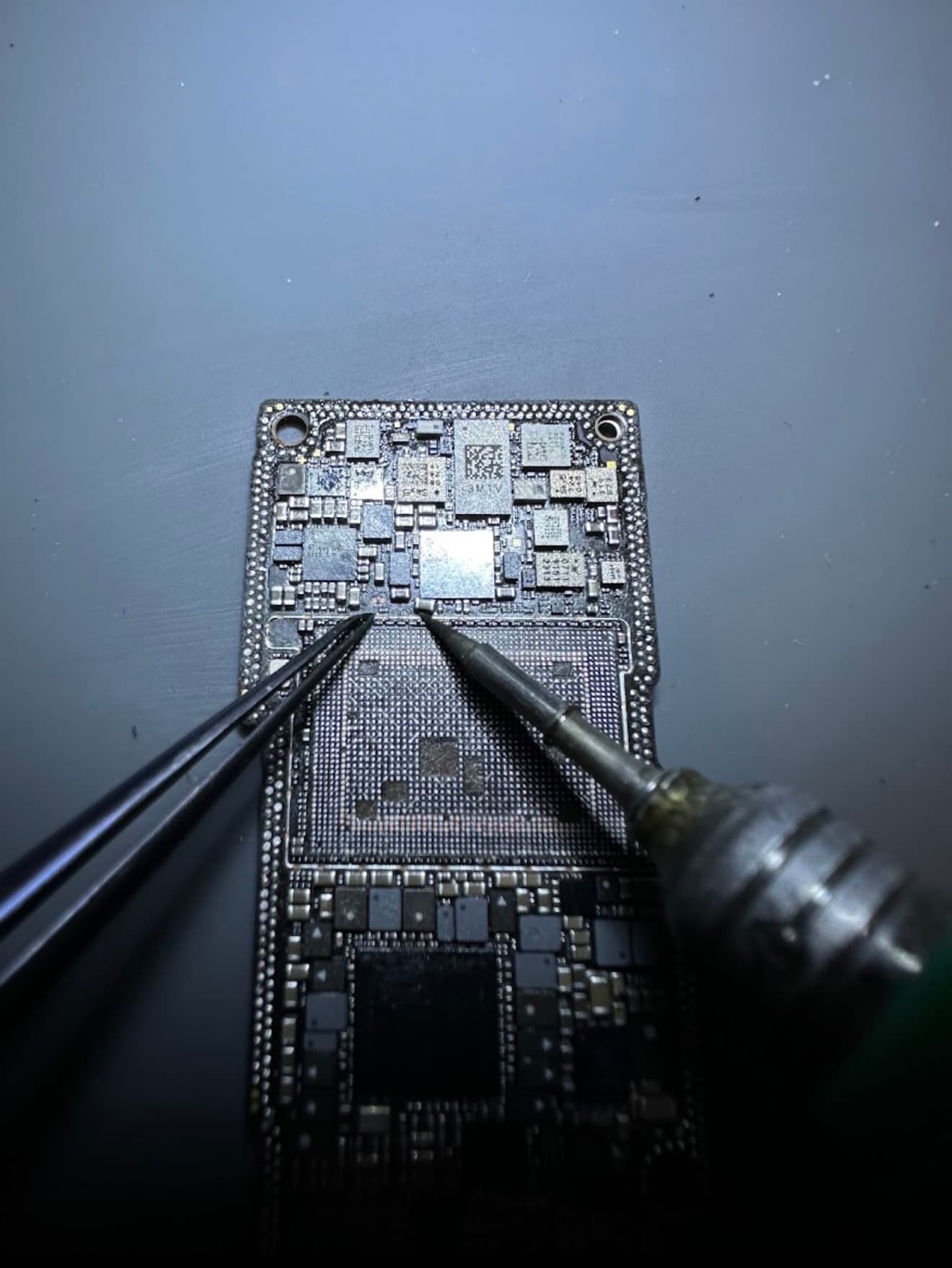 Portada de Celulab.pereira