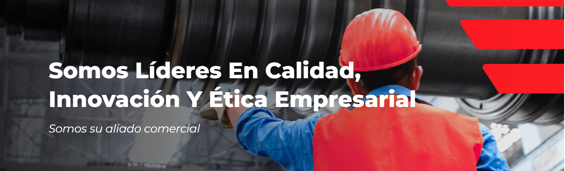 Portada de DISTRIEM LTDA
