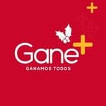 Logo de Almacén Ganemas
